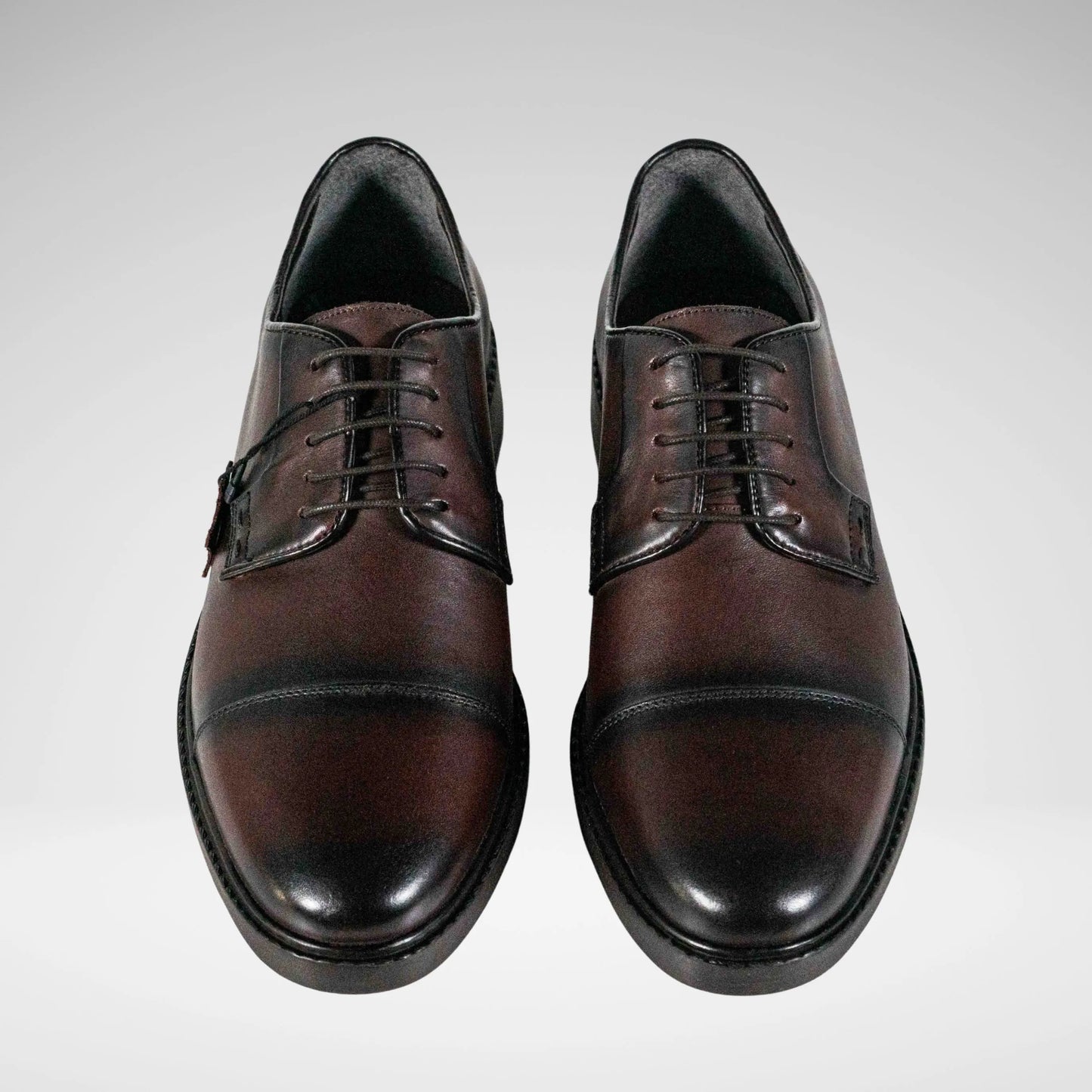 ROBERTO MORINO M6795 Marcel1lea Leather Shoe Chocolate