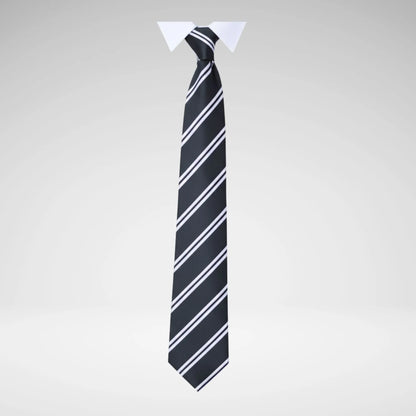 SCHOOLWEAR SPECIALIST - TIES 2-STRIPE