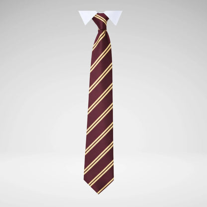 SCHOOLWEAR SPECIALIST - TIES 2-STRIPE
