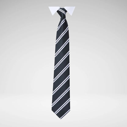 SCHOOLWEAR SPECIALIST - TIES 2-STRIPE
