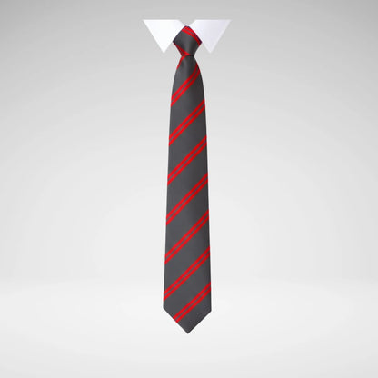 SCHOOLWEAR SPECIALIST - TIES 2-STRIPE