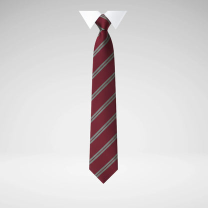 SCHOOLWEAR SPECIALIST - TIES 2-STRIPE