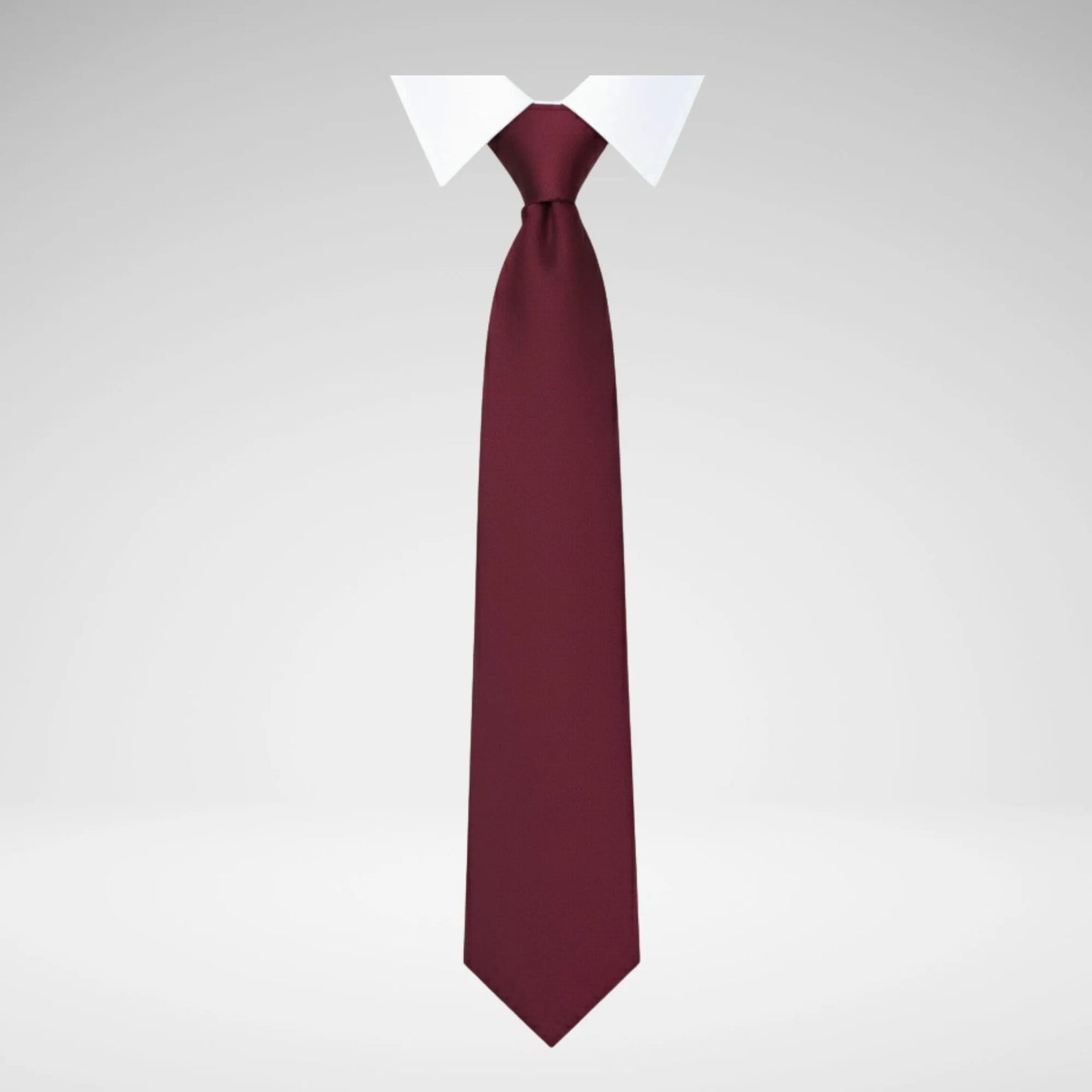 SCHOOLWEAR SPECIALIST - TIES 2-STRIPE