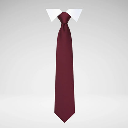 SCHOOLWEAR SPECIALIST - TIES 2-STRIPE