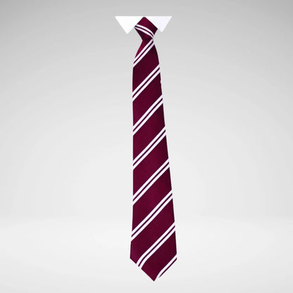 SCHOOLWEAR SPECIALIST - TIES 2-STRIPE