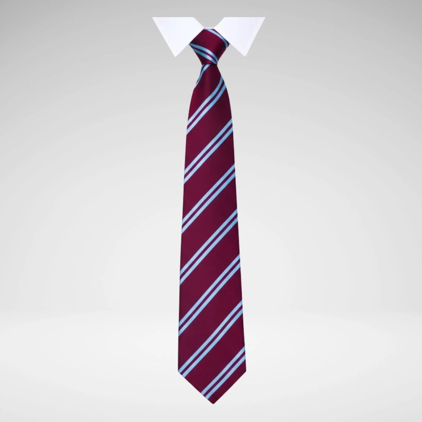 SCHOOLWEAR SPECIALIST - TIES 2-STRIPE
