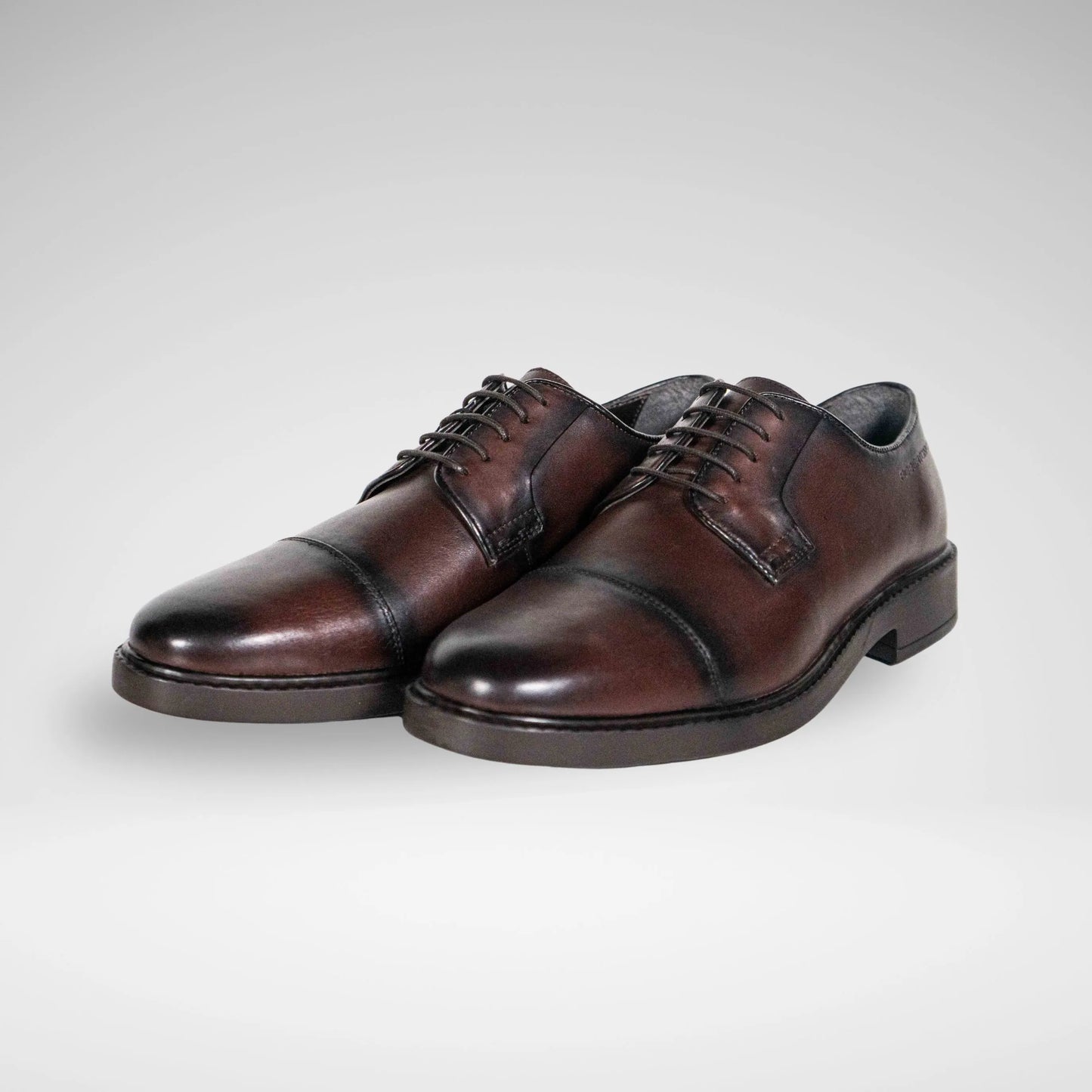 ROBERTO MORINO M6795 Marcel1lea Leather Shoe Chocolate